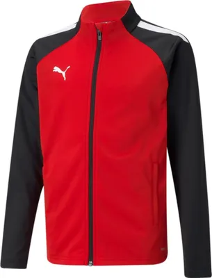 Image de Sweats Puma Teamliga Poly 65723501