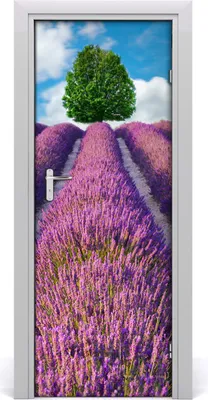 Produktbild von Tulup Türaufkleber 75x205 cm Dekorative Aufkleber Selbstklebend Wasserdichte Tapete Abnehmbar Schlafzimmer Wohnzimmer Wohnkultur - Lavendelfeld