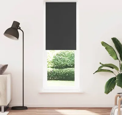 Obrázok produktu pre CLORIS zatemňovacia roleta čierna 85x230 cm šírka látky 80,7 cm - Rolety 4010943