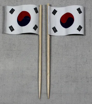 Produktbild von Party-Picker Flagge Südkorea Papierfähnchen in Spitzenqualität 25 Stück Beutel