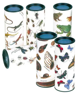 Image de Kaleidoscope Nature, Fridolin