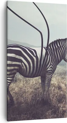 Produktbild von Bild auf Leinwand - Leinwandbild - Zebra Tier Wiese - 45x80cm - Wand Bild - Wanddeko - Wandbilder - Leinwanddruck - Bilder - Kunstdruck - Wanddekoration - Leinwand bilder - Wandkunst - PA45x80-3959