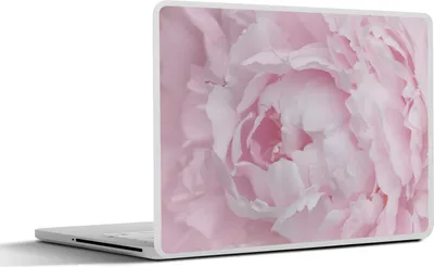 Produktbild von MuchoWow® Laptop Aufkleber Sticker Cover Nahaufnahme und Draufsicht einer rosa Pfingstrose 32.5x23.5 cm - Sticker für Laptop - Selbstklebend
