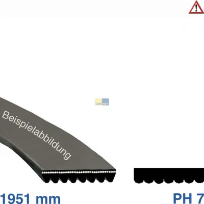 A product image showing two examples of a ribbed belt, one with text overlay and one without, along with size information.