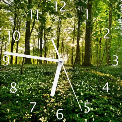 Produktbild von Wallario Design Wanduhr Waldanemonen und Sonnenstrahlen im Wald aus Echtglas, Größe 20 x 20 cm