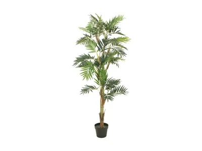 Zdjęcie produktu dla EUROPALMS Palma Parlour, sztuczna roślina, 150 cm
