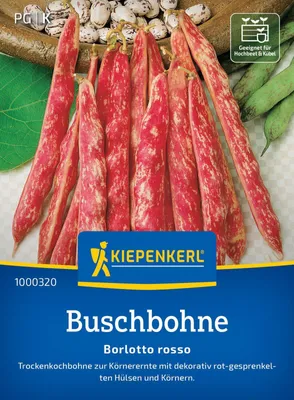 Produktbild von Kiepenkerl Buschbohnensamen Borlotto Rosso Phaseolus vulgaris nanus 5 lfd. Meter