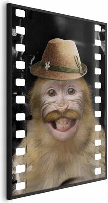 Produktbild von Posterpapier Poster - Monkey in a Hat 21x30 cm Für Kinder g-A-0162-ao-a
