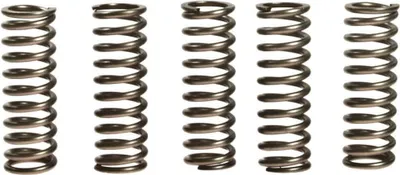 Immagine prodotto di Kit 5 molle frizione EBC CSK123