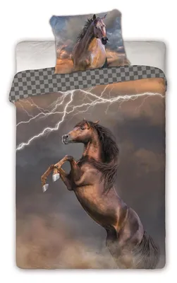 Zdjęcie produktu dla Faro Pościel bawełniana 140x200 koń piorun szachownica rycerze 003 poszewka młodzieżowa 70x90