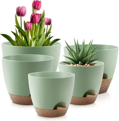 Produktbild von Famanu Set von 5 selbstbewässernden Pflanzenübertöpfen 7–9 cm grün