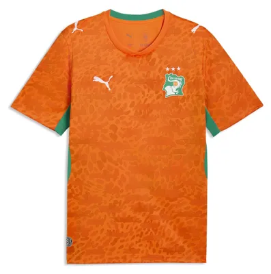 Immagine prodotto di Maglia Puma FIF Home Replica, taglia: L