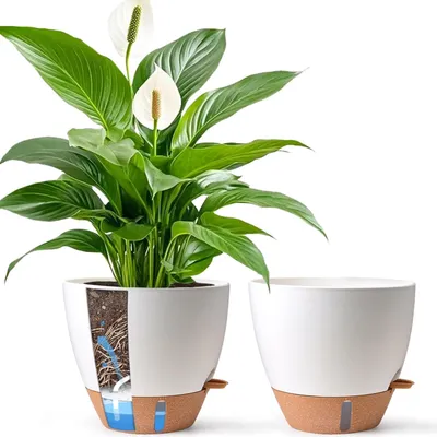 Produktbild von Übertopf 30 cm mit Bewässerungssystem & Wasserstandsanzeige Weiß 2er Set