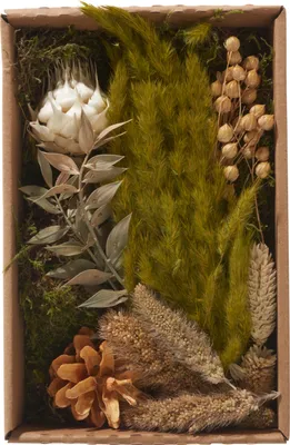 Produktbild von Trockenblüten Potpourri Set "Natural", 100 g