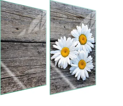 Produktbild von Herdabdeckplatten 2 teilig 35x52 Glaskeramikkochfeld Abdeckung Glas Schneidebrett Gänseblümchen Holz