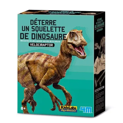 Immagine prodotto di 4M KidzLabs Set di scavi per dinosauri - Velociraptor - Giocattolo educativo
