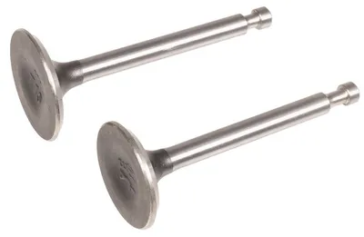 Obrázok produktu pre Ventily motora Loncin cpl. LC170FDS ORIGINÁLNY DIEL 500550130-0001