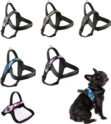 Produktbild von Tre Ponti Hundegeschirr Primo Camouflage, Farbe:camouflage pink, Größe:L - 20 - 30 kg
