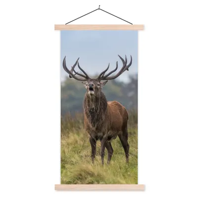 Produktbild von MuchoWow® Textilposter Hirsche - Geweihe - Gras 40x80 cm mit holzfarbenen Rahmen - Wohnzimmer