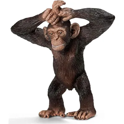 Image de Schleich 14680 - Jeune chimpanzé