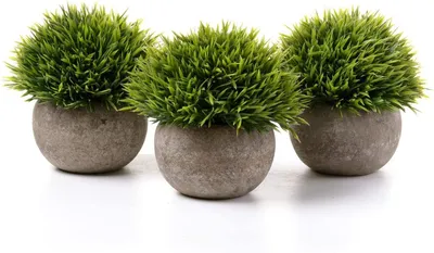 Produktbild von Kunstpflanze Künstliche Topfpflanze Gras Bonsai mit Topf 3er-Set klein, Zuhause Wohnung Büro Dekor Hochzeit Geburtstag Weihnachten Geschenk