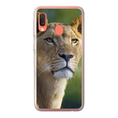 Produktbild von MuchoWow® Handyhülle Schutzhülle Hülle für Samsung Galaxy A20e Porträt - Löwe - Wild Silikon Softcase Handy Hülle - Abdeckung