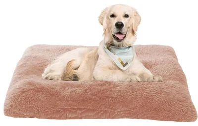 Produktbild von Hundematratze Katzenbett Hundesofa Hundekissen Hundekorb Hundematte 70x50x8cm Rosa Waschbar