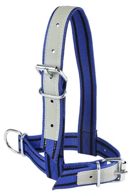 Produktbild von KAMER Nylon-Kälberhalfter | lederverstärkt | blau