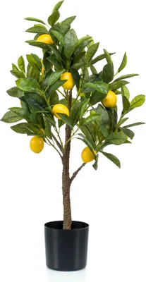 Produktbild von künstlicher Zitronenbaum im schwarzen Topf H. 72cm Emerald Topfpflanze