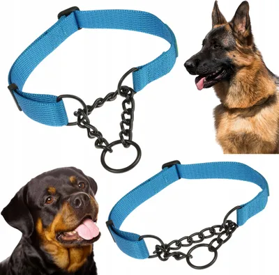 Produktbild von Großes Hundehalsband mit Martingalkette verstellbar XL