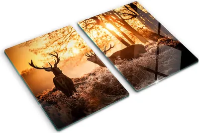 Produktbild von Tulup Glas Herdabdeckplatte - 2x40x52 cm - Glaskeramikkochfeld-Abdeckung Spritzschutz Glasabdeckplatte Kochplattenabdeckung und Schneidebrett - Zweiteilig - Tiere - Hirsch Sonnenaufgang - Braun