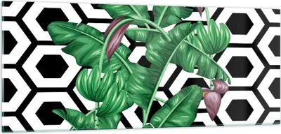 Produktbild von Bilder auf glas - Blatt Pflanze Blume - 100x40cm - Glasbilder - Wandbilder - Kunstdruck - zum Aufhängen bereit - Wanddekoration aus Glas - Glas Bilder - Wandbild auf Glas - Einteilig - GAB100x40-3798