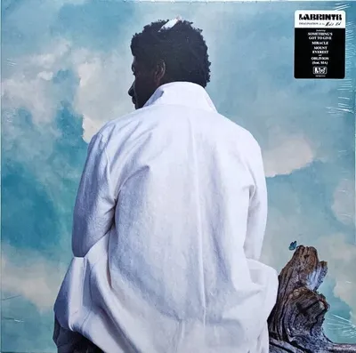 Produktbild von Labrinth - Misfit Kid (LP)