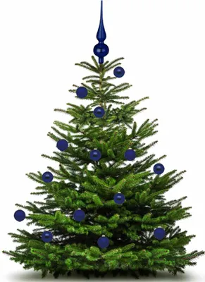 Produktbild von Christbaumspitze 26cm Midnight Blue mitternacht glanz