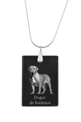 Imagen del producto de Art-Dog Collar con colgante – Dogo de Burdeos – con cadena de serpiente de plata