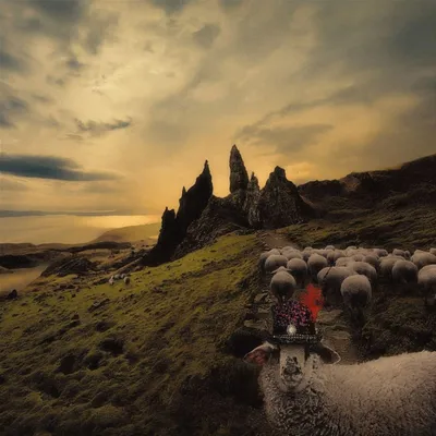 Immagine prodotto di Franck Carducci: Sheeple