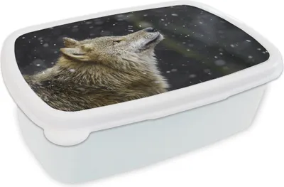 Obrázok produktu pre KitchenYeah® Lunch Box Snack Box 17x11 cm Wolf - Snow - Brown Kids Snack Box - Lunch Box - Kids - Sandwich Box - School Box - Lunch Boxes