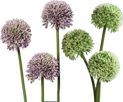 Imagen del producto de Ramillete de 3 flores artificiales de ajo (Allium), flores artificiales, plantas artificiales, 46 cm, 2 colores, color: verde