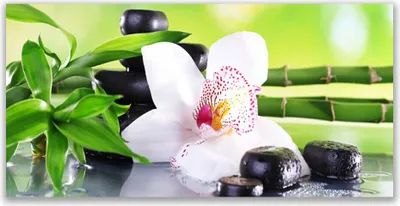 Produktbild von Tulup Leinwand-Bilder 140x70 Wandbild Canvas Kunstdruck Bambusrohre Blume Steine