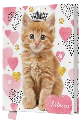 Immagine prodotto di Diario con lucchetto, 80 pagine, Princess Cat - GDD
