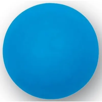 Productafbeelding van 4 MAUL Magnete blau