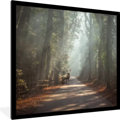 Produktbild von MuchoWow® Gerahmtes Poster Hirsche - Wald - Sonnenstrahlen 40x40 cm - Poster mit Schwarzem Bilderrahmen Wandposter Rahmen Foto Bilder - Mit Rahmen - Wanddekoration Schlafzimmer