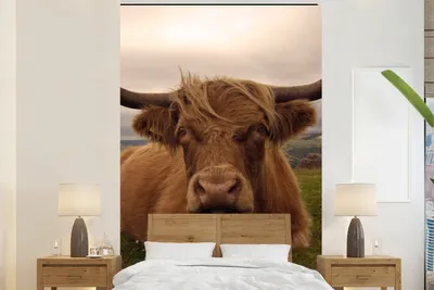 Produktbild von MuchoWow® Fototapete für Wohnzimmer oder Schlafzimmer Wandtapete Vinyl Motivtapete Schottischer Highlander - Tiere - Berg - 195x300 cm - Das Hintergrundbild