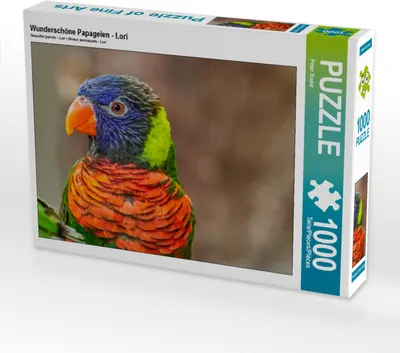 Produktbild von CALVENDO Puzzle Wunderschöne Papageien - Lori 1000 Teile Puzzle quer | 1000 Teile Lege-Größe 64x48cm Foto-Puzzle für glückliche Stunden