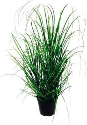 Obrázek produktu pro Umělá rostlina tráva v květináči 75 cm
