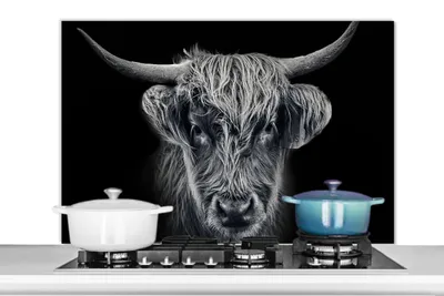 Obrázok produktu pre MuchoWow® Splashback Kuchyňa - Kuchynský backsplash - Ochrana steny pre sporák a drez Škótsky horal - Čierny - Krava - Zvieratá 100x65cm Alu-Dibond