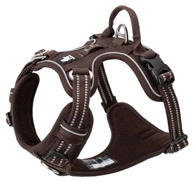 Produktbild von Solidchoice – Verstellbares, reflektierendes Nylon-Halsband für Hunde