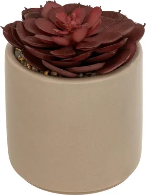 Image de Succulente artificielle en pot NILS, 12 cm