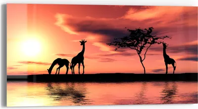 Produktbild von DEQORI Glasbild Echtglas 60x30 cm 'Sonnenuntergangssafari' Wandbild Bild modern Deko