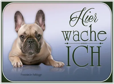 Produktbild von vianmo Holzschild 30x40 cm Hund Französische Bulldogge hier